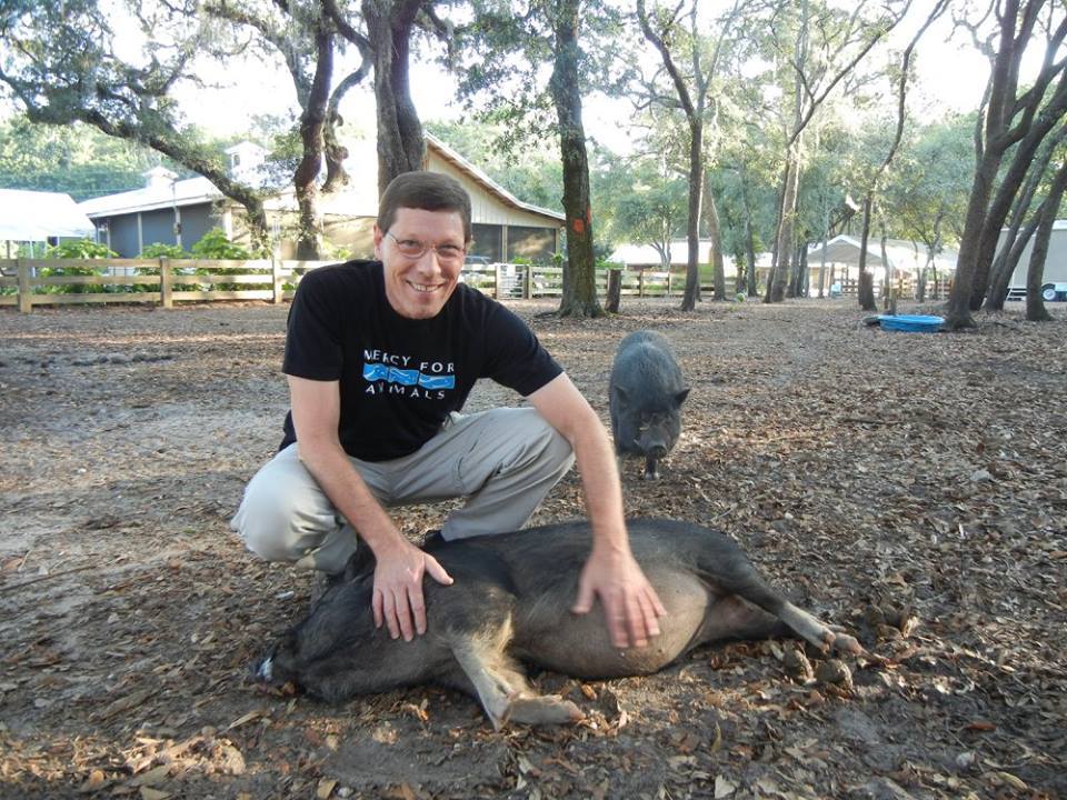 Animals Almost Always Forgive and Move On