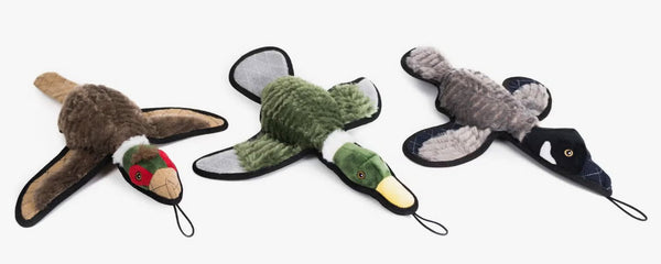 Pet Products & Accessories