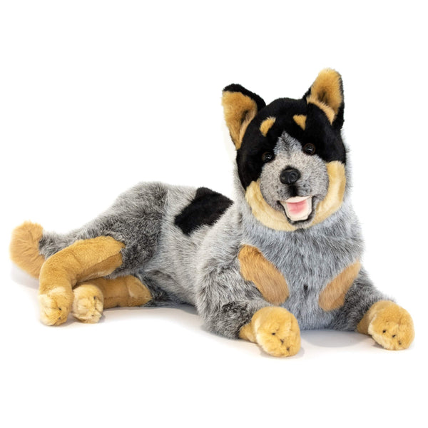 Marshall the Heeler Cattle Dog Soft Plush Toy 13/33cm Medium Blue  Bocchetta Plu