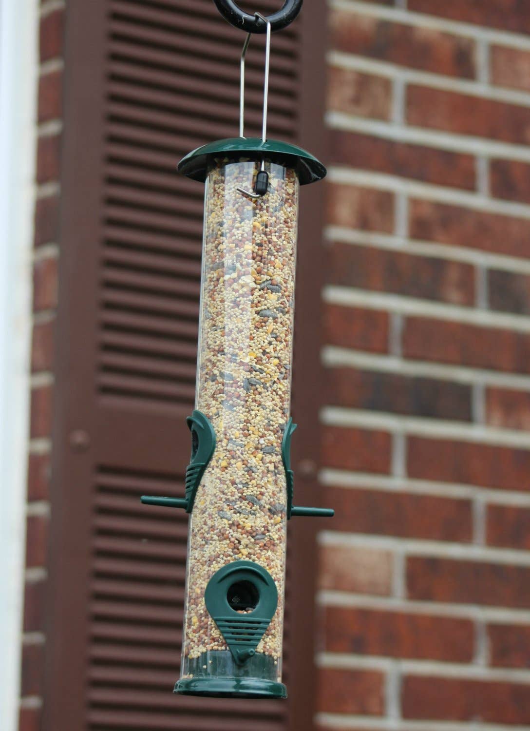 Ashman Online Green / 2 Ashman Online - Ashman Bird Feeder, Metal Top and Bottom, Spacious Design, Attractive & Long Lasting