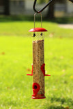 Ashman Online Green / 2 Ashman Online - Ashman Bird Feeder, Metal Top and Bottom, Spacious Design, Attractive & Long Lasting