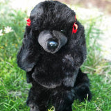 Bordeaux Black Plush Poodle