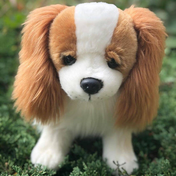 Plush Cavalier King Charles Spaniel – The Pink Pigs