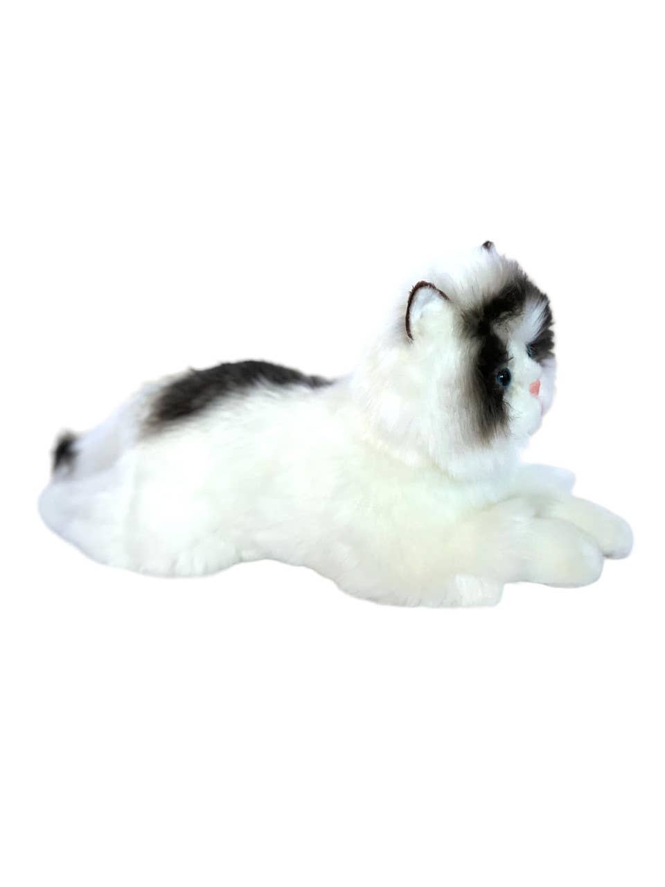 Auswella Auswella - Plush Cat- 16" Plush Ragdoll Kitten Stuffed Animal