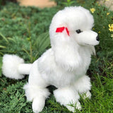 White Poodle Paris
