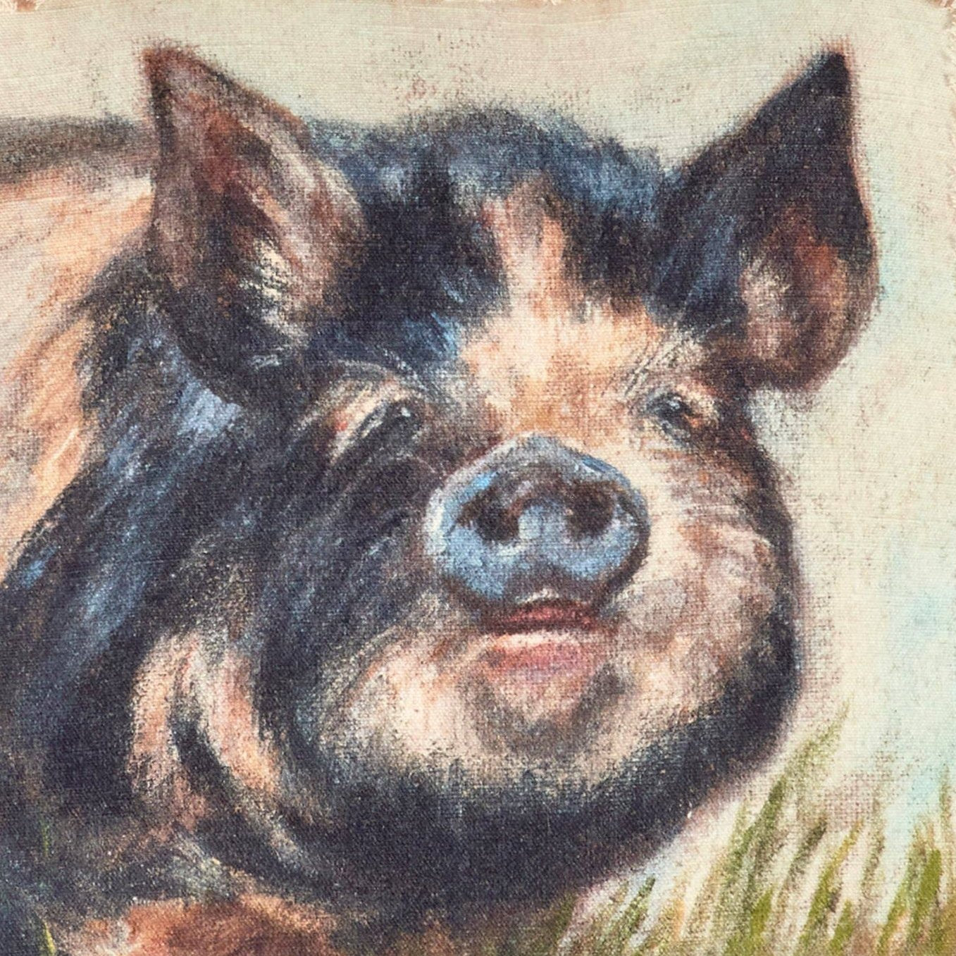 Faire-Primitives by Kathy Throw Pillows Kune Kune Pig Pillow-Primitives by Kathy