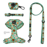 Glam Goldens Collection-Leash, Harness, Collar, Waste Bag Holder
