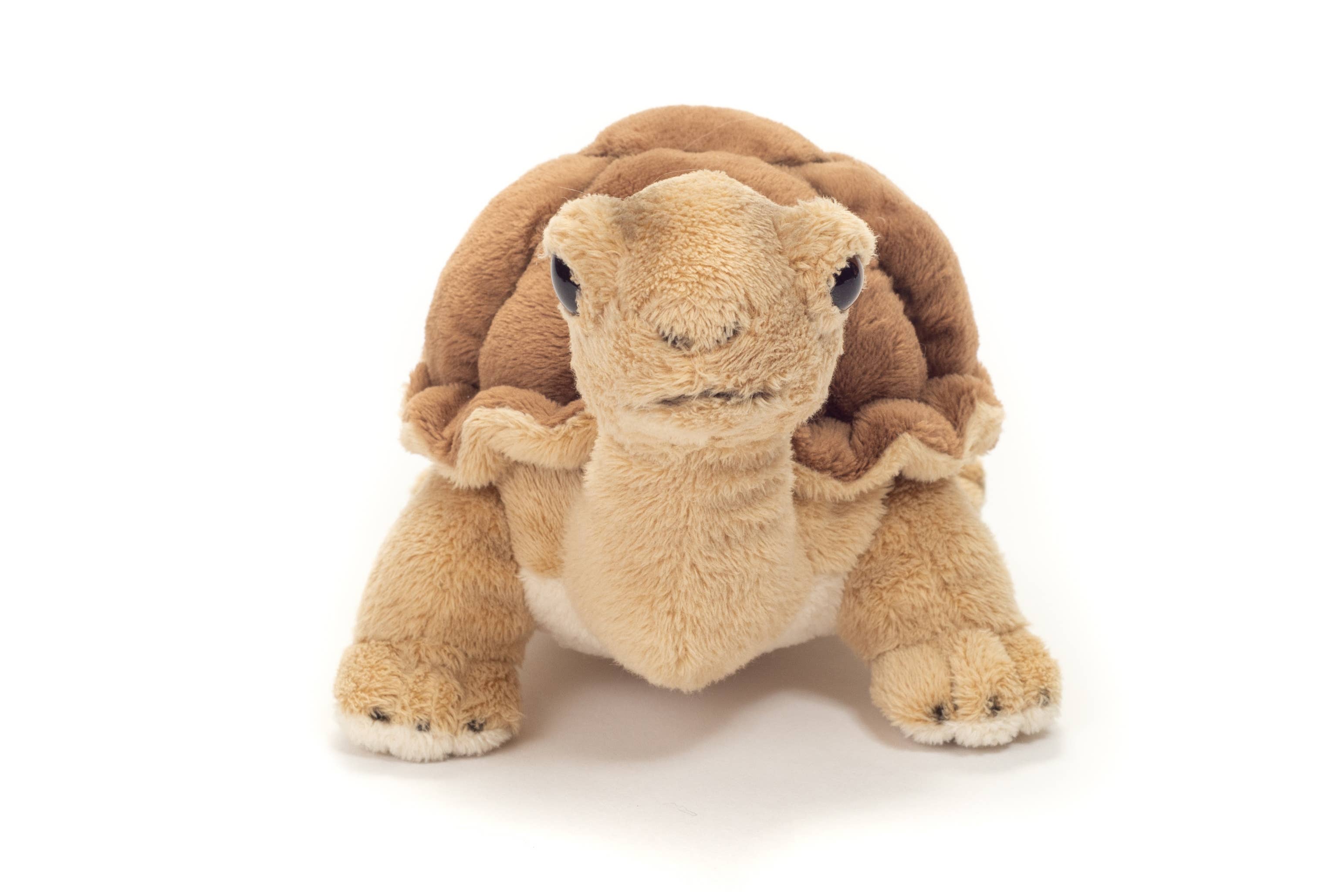 Faire-Teddy Hermann Plush Turtle Realistic Plush Small Tortoise 20 cm - plush toy by Teddy Hermann
