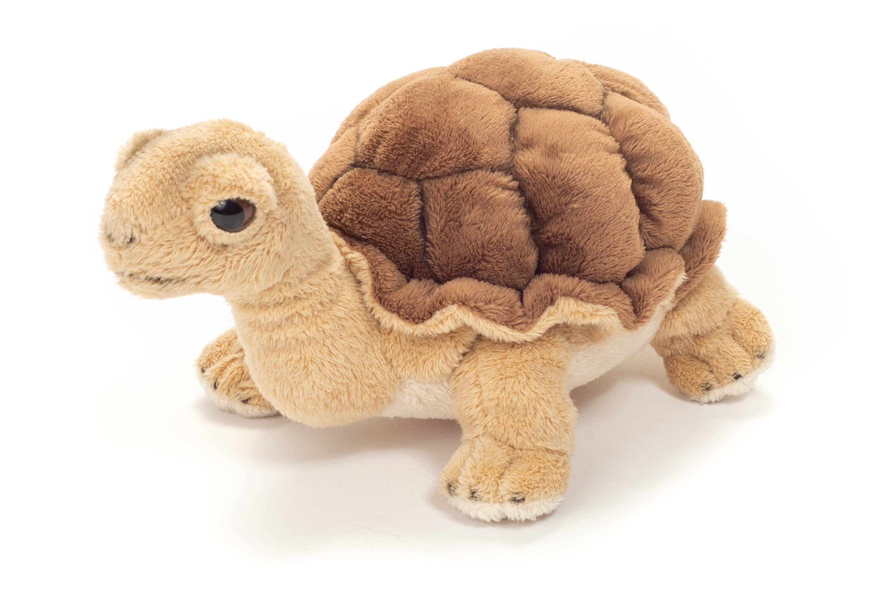 Faire-Teddy Hermann Plush Turtle Realistic Plush Small Tortoise 20 cm - plush toy by Teddy Hermann