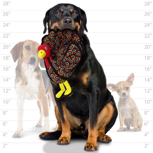 FAIRE - VIP Tuffy Dog Toys Dog Chew Toy Barnyard Turkey - Multiple Squeakers - Multiple Layers