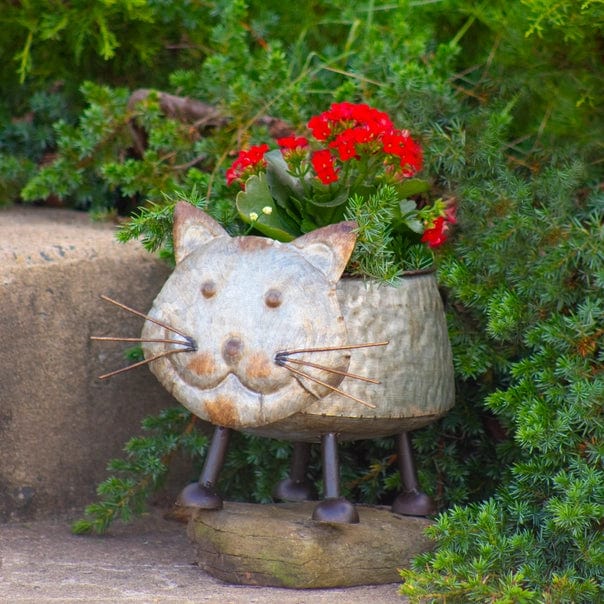 Faire- Zaer Ltd. International Galvanized Animal Planters in 6 Assorted Styles