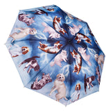 Cats & Dogs Folding Umbrella by Galleria for the Pet Lovers!