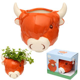 Highland Cow Planter Ceramic Wall Mounted