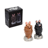 Bat Ceramic Salt & Pepper Set So Cute!