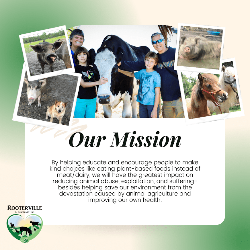 Rooterville A Sanctuary Inc Wedding Ceremony with Rescued Farm Animals & Butterflies!