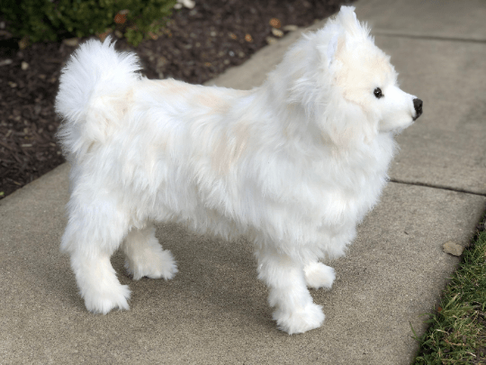 The Pink Pigs Plush Animals JoJo Our Life Size Samoyed Plush Dog