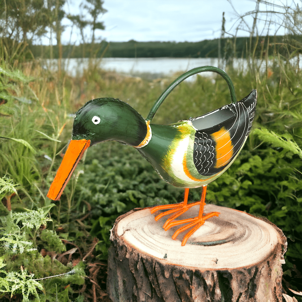Wilco Home Wilco Home - Alfred The Duck Plant Pals Watering Can