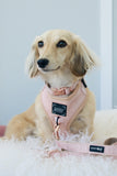 Adjustable Dog Harness - Pinot by Sassy Woof