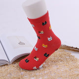 Alibaba Socks Red Cat Crew Socks-Cute Kitty Cat Socks in 5 Colors!