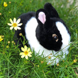 Plush Stuffed Dutch Bunny Black and White