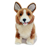 Tri-color Corgi Size 28cm/11