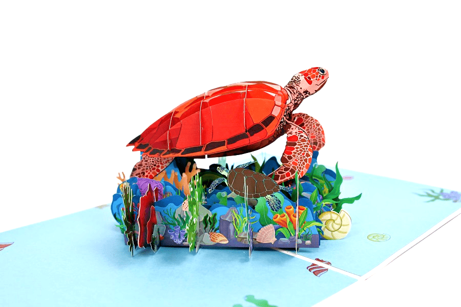 Faire-Wonder Paper Art 3d card Sea Turtle Pop Up 3D Greeting Card