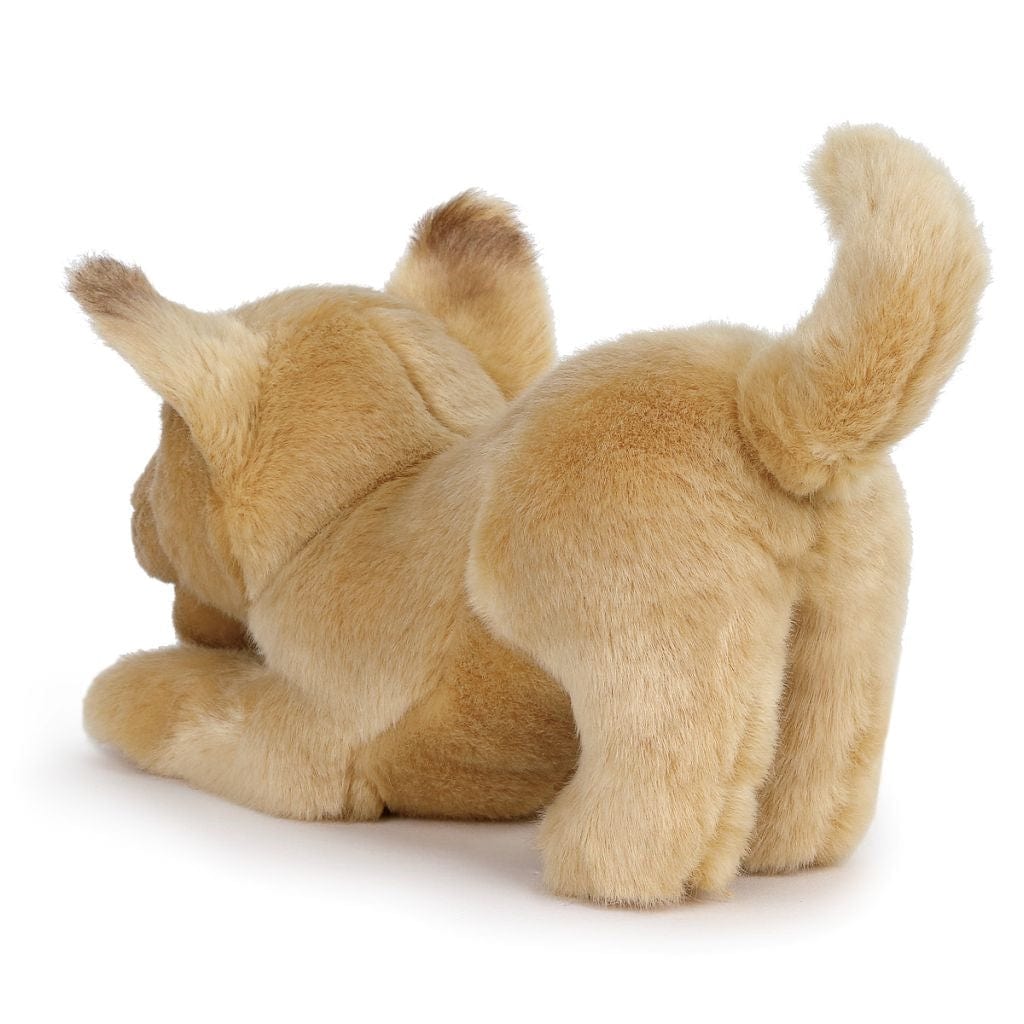 One Coast Plush Animals Plush Mixed Breeds: Maltipoo, Terrier Mix, & Labradoodles