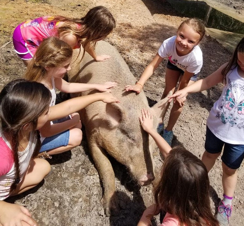 Teaching Children to Love and Care for Animals