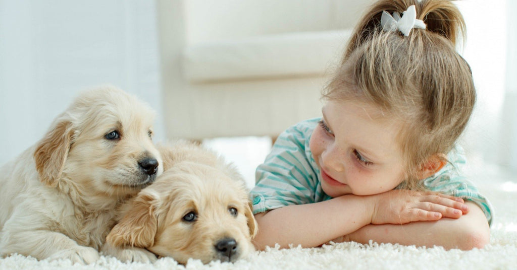 How To Teach Your Children To Love and Respect Animals