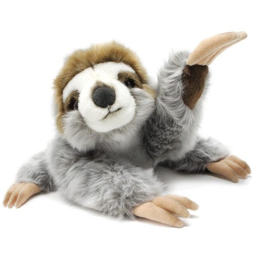 Siggy The three toed sloth baby
