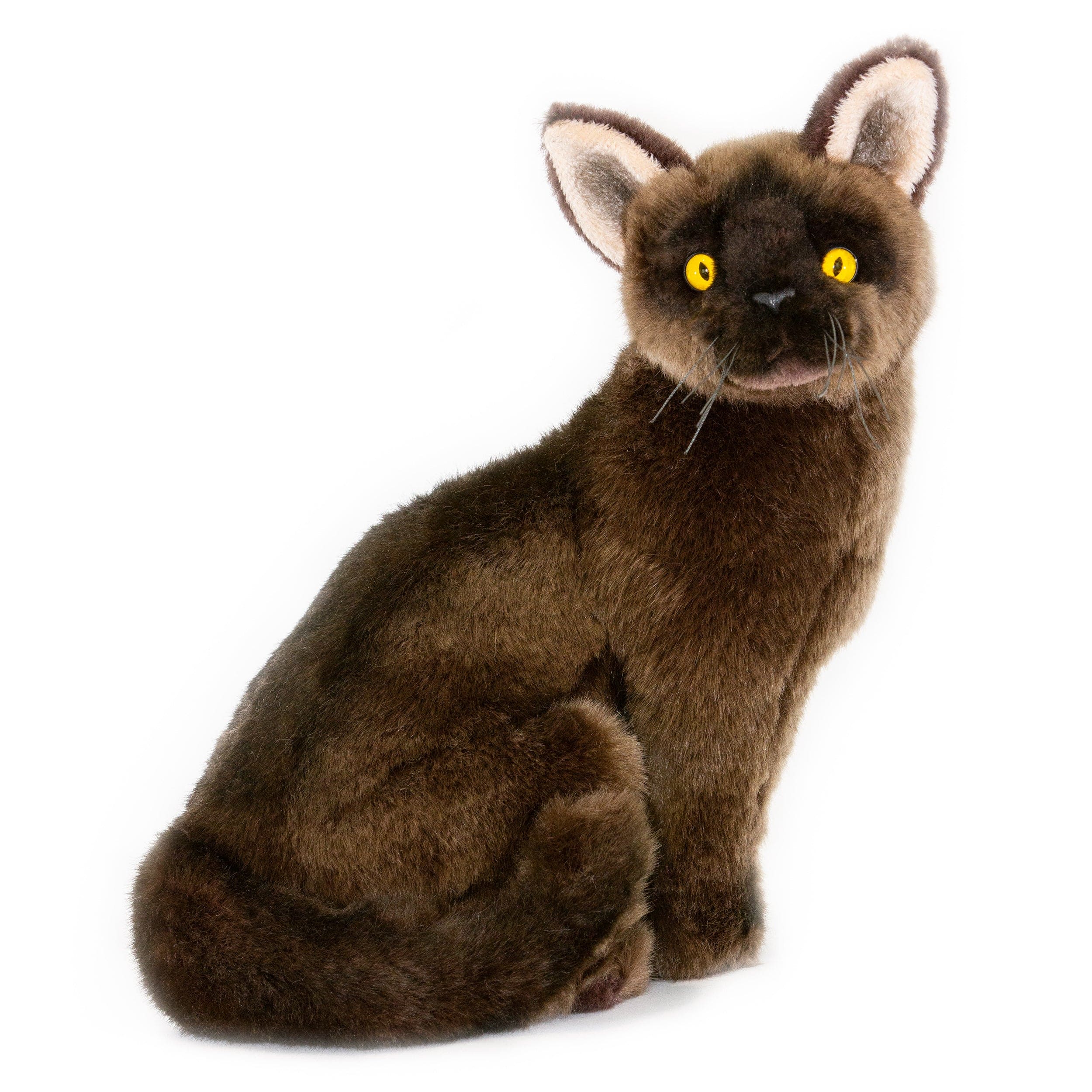Sable (dark brown) Burmese Cat or Kitten Stuffed Animal