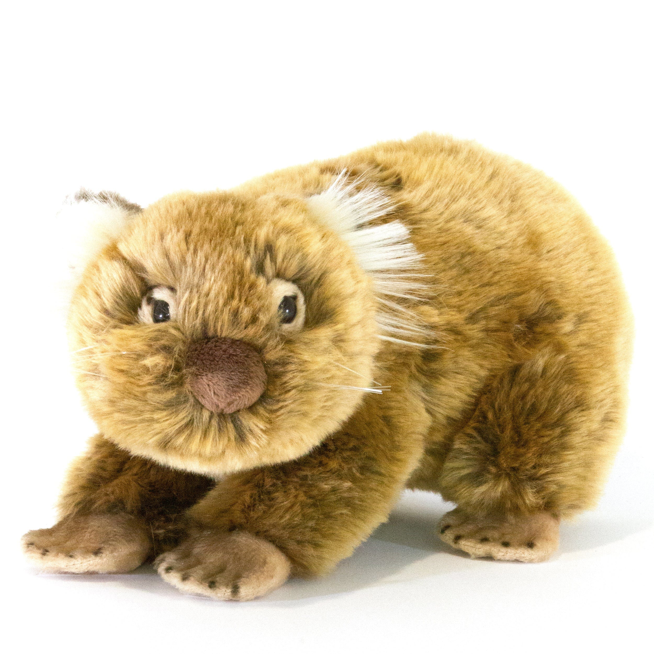 Plush Wombat Lifelike Eco-Friendly Medium Size 27cm/10.6″