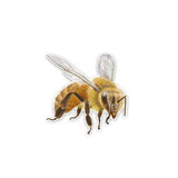Honey Bee and Bee Happy Stickers for Car or Anywhere!