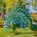 Large Colorful Beautifully Detailed Peacock Pair