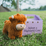 Adopt A Highland Cow