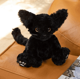 Ali-express Black Curly Coat Devon Rex Plush Kitty Cat