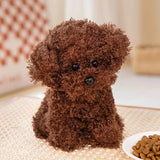 Ali Express Plush Puppy Dog Brown Poodle Mix Puppies Brown or White Curly Que Hair