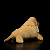 Ali Express plush walrus Plush Realistic Walrus with Mustache and Tusks!