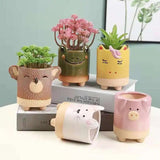 Alibaba Mini planter Pink Piggy Planter Decorative Planter