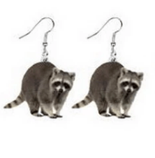 AliExpress Raccoon Animal Acrylic Earrings-Hedgehog, Hamster, Frog-MORE!