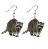 AliExpress Raccoon Animal Acrylic Earrings-Hedgehog, Hamster, Frog-MORE!