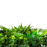 Artificial Green Privacy Screen Panels-perfect for patios, pools, bars, restaurants, etc