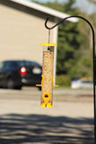 Ashman Online Green / 2 Ashman Online - Ashman Bird Feeder, Metal Top and Bottom, Spacious Design, Attractive & Long Lasting