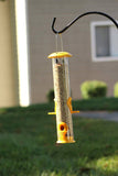 Ashman Online Green / 2 Ashman Online - Ashman Bird Feeder, Metal Top and Bottom, Spacious Design, Attractive & Long Lasting