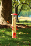 Ashman Online Green / 2 Ashman Online - Ashman Bird Feeder, Metal Top and Bottom, Spacious Design, Attractive & Long Lasting