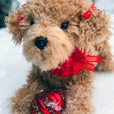 Auswella Auswella - Lila Laying Labradoodle