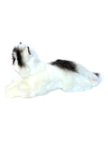 Auswella Auswella - Plush Cat- 16" Plush Ragdoll Kitten Stuffed Animal