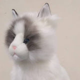 Auswella Auswella - Plush Cat- Ragdoll Kitten Plush Animal