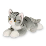 Lil' Socks the Gray Tabby Kitty Cat