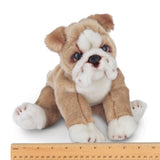 Bearington Collection Bearington Collection - Tug the Bulldog